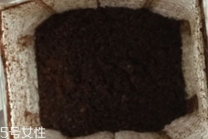 藍(lán)山掛耳咖啡好喝嗎 沖泡方法