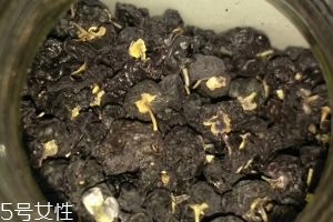 黑枸杞還還是紅枸杞好？各有千秋