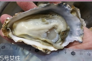 生蠔會有寄生蟲嗎？不生吃就沒關(guān)系