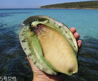 鮑魚(yú)罐頭好吃嗎？味道還可以