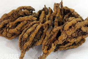 黃連可以去痘痘嗎 僅對(duì)兩種痘有效