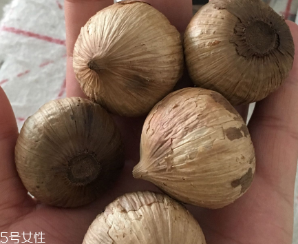 黑蒜怎么吃？黑蒜最好吃的吃法