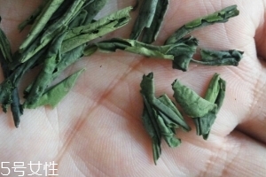 六安瓜片是紅茶還是綠茶？