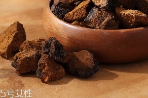 樺樹茸是樹黃嗎？樺樹茸屬于什么