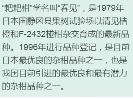 枇杷柑是丑橘嗎？枇杷柑和丑橘的區(qū)別