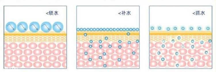 干皮怎么補水 干皮科學(xué)補水三步走