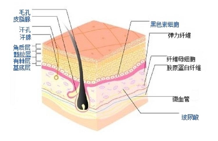 隔離霜怎么檢測重金屬 隔離霜鉛汞鑒別方法