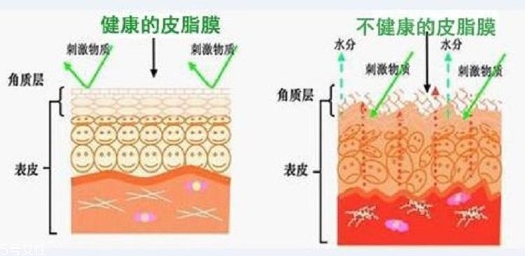 干皮怎么補水 干皮科學(xué)補水三步走