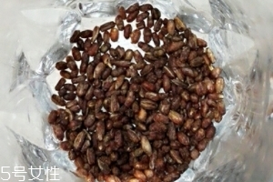 青稞茶怎么沖泡？青稞茶沖泡方法