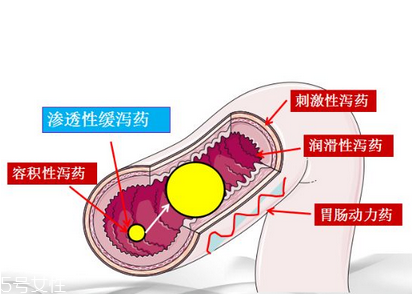 瀉藥吃了多久后開始排便？