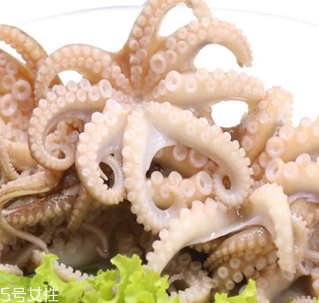 章魚是什么顏色？章魚是什么樣子？