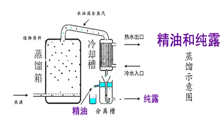 純露怎么濕敷效果好？純露濕敷的正確步驟