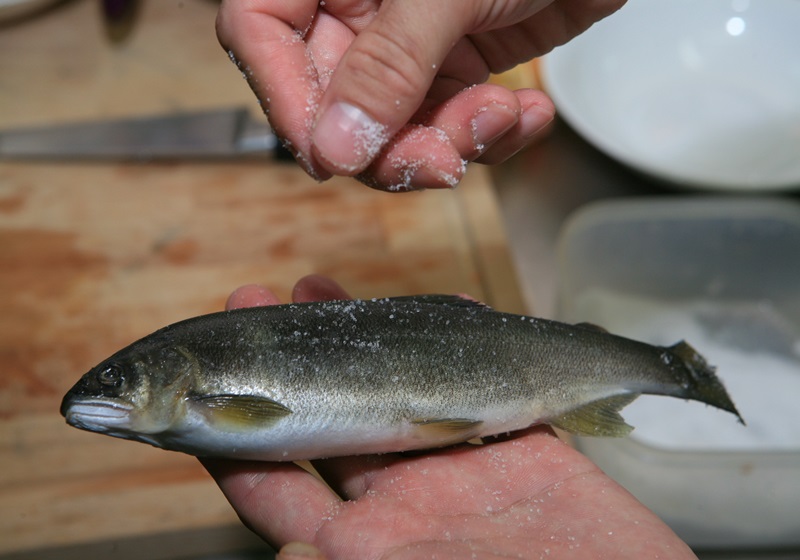 香魚是什么魚 5種香魚的做法