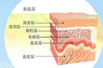 油皮敏感肌怎么去角質(zhì) 手把手教你去角質(zhì)