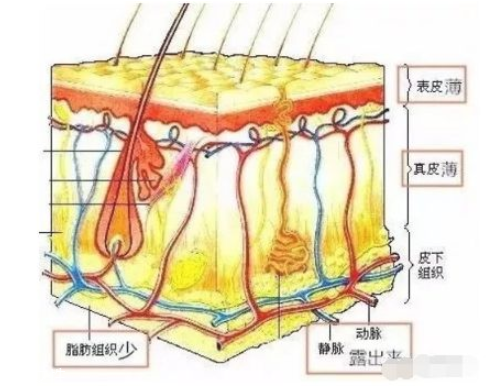 黑眼圈嚴(yán)重怎么去除 跟熊貓眼說byebye