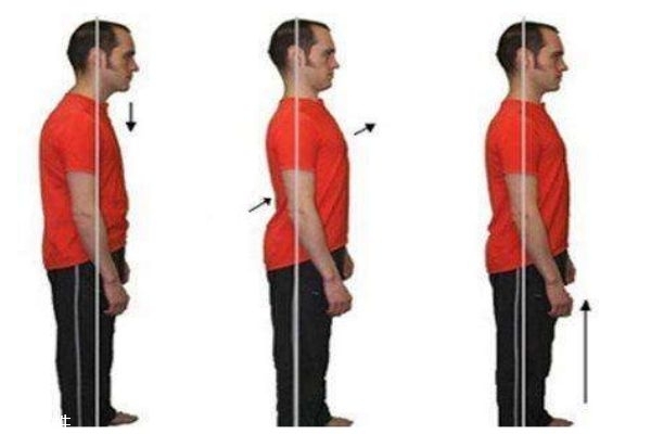 骨盆前傾的日常矯正 6個(gè)動(dòng)作在家就可以練起來(lái)