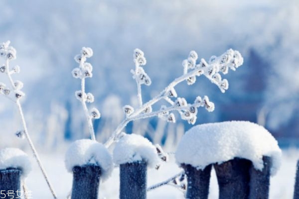 冬天適合去哪里旅游 滑雪溫泉一個都不能少