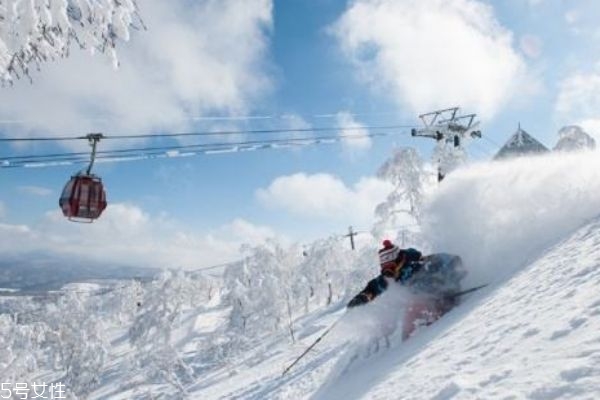 冬天適合去哪里旅游 滑雪溫泉一個都不能少