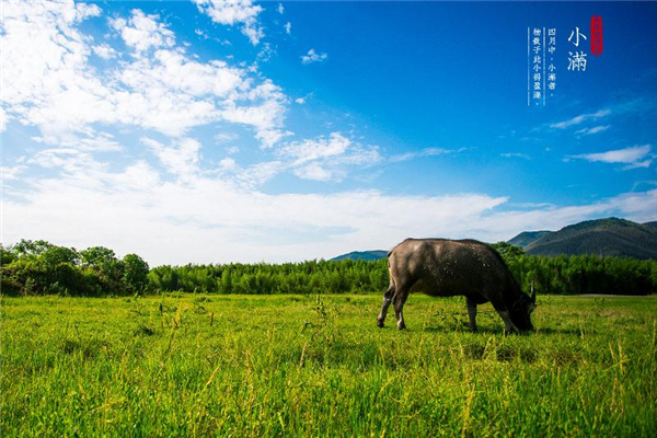 小滿前后種瓜種豆什么意思 種瓜點(diǎn)豆指什么