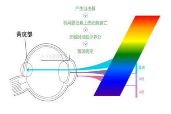 怎么樣預防近視 手機是否真的危害眼睛