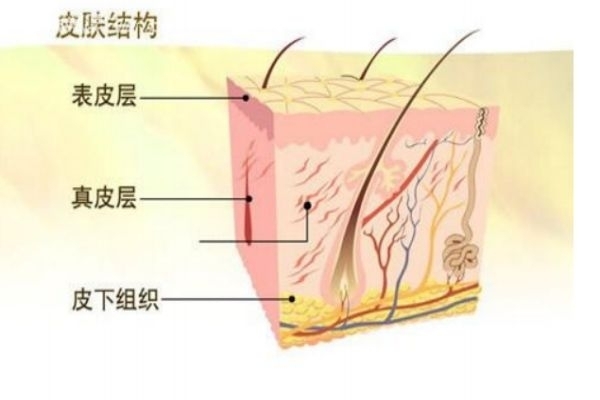 如何去臉上角質(zhì)層呢 去角質(zhì)層有什么好處呢