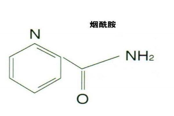 煙酰胺有什么作用呢 煙酰胺白天可以用嗎