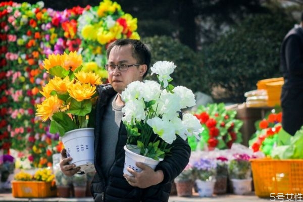 清明節(jié)的鮮花要用幾朵 清明節(jié)掃墓應該用什么花