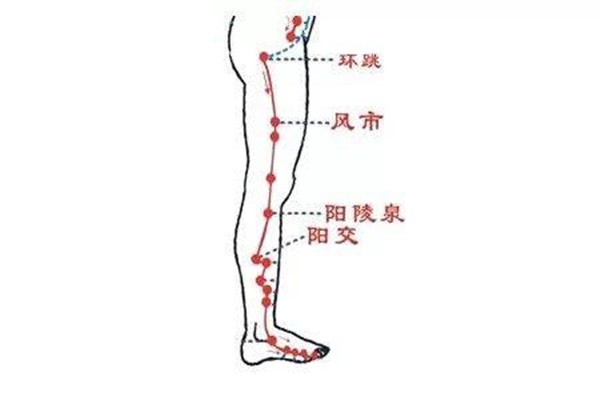 敲打膽經(jīng)多久能瘦腿呢 水腫型腿能敲打膽經(jīng)瘦腿嗎