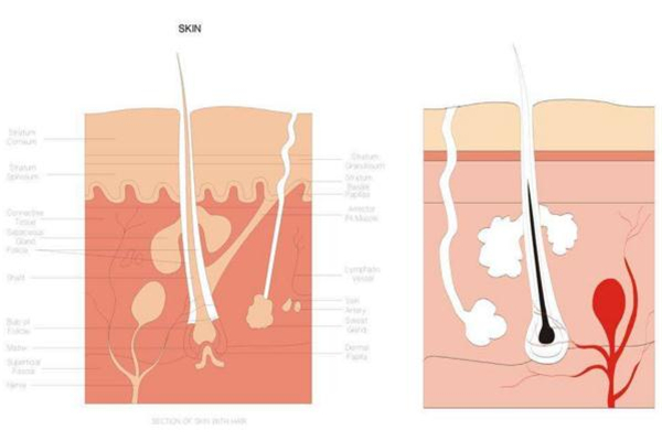 糾結(jié)身體乳哪個(gè)牌子好？從功效下手才穩(wěn)