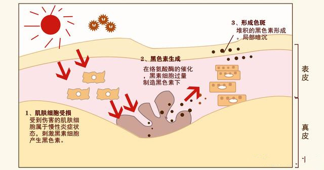 防曬步驟護(hù)膚的正確步驟 防曬步驟的先后順序排列