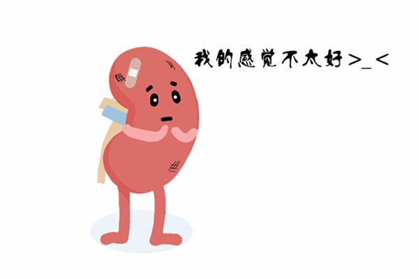 腎炎會(huì)尿血嗎 腎炎尿血嚴(yán)重嗎