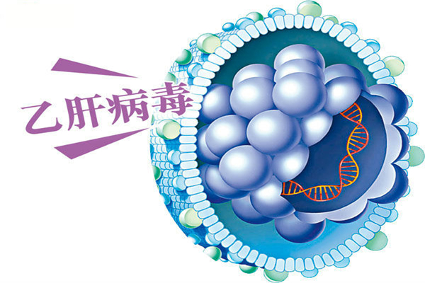 乙肝患者能過性生活嗎 乙肝患者要注意什么事項