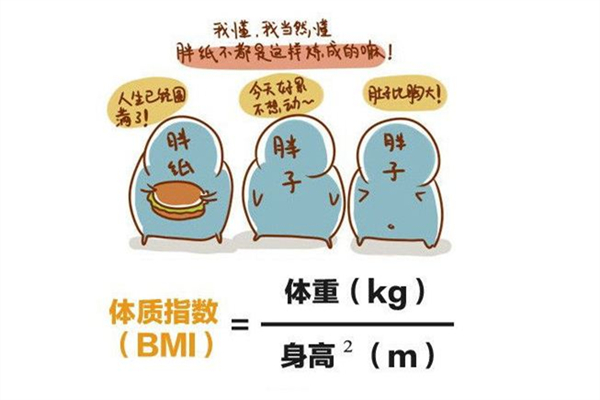 bmi體脂率怎么計算 bmi是什么意思