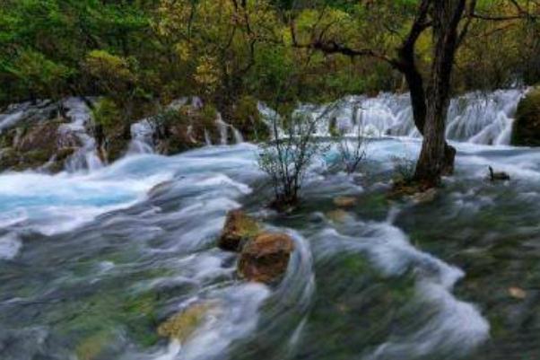 跟團(tuán)旅游和自由行哪個好 跟團(tuán)旅游可以中途自己走嗎