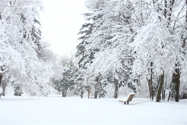 降雪的必要條件 降雪量的等級標準