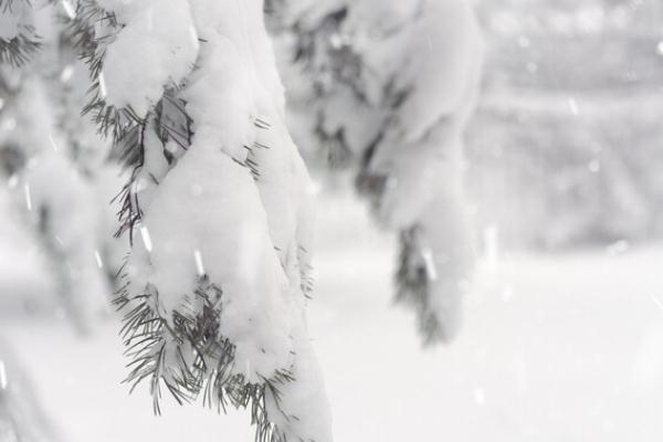 降雪是怎么形成的 降雪46小時(shí)通遼積雪深度破紀(jì)錄