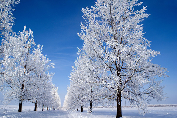 小雪節(jié)氣是哪一天 小雪節(jié)氣吃什么養(yǎng)生