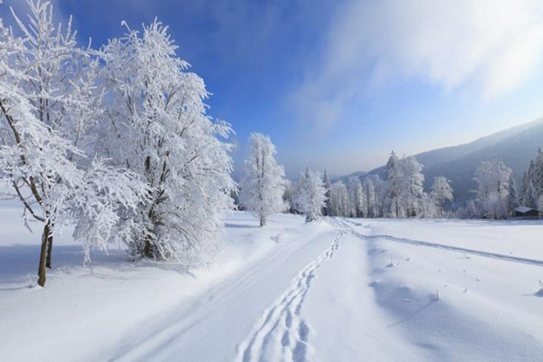 大雪節(jié)氣會下雪嗎 大雪節(jié)氣一定會下雪嗎