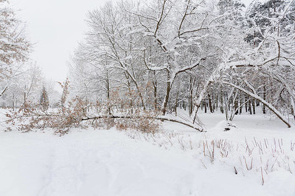 大雪節(jié)氣是一年中第幾個節(jié)氣 大雪節(jié)氣是一年中最冷的嗎