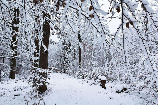 大雪節(jié)氣是一年中第幾個節(jié)氣 大雪節(jié)氣是一年中最冷的嗎