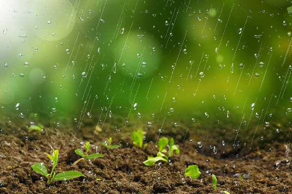 雨水節(jié)氣一定會下雨嗎 雨水節(jié)氣有什么說法