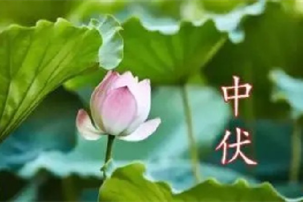 中伏會犯困嗎 中伏要怎么養(yǎng)生