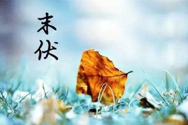 末伏會(huì)比中伏熱嗎 末伏會(huì)不會(huì)涼快點(diǎn)