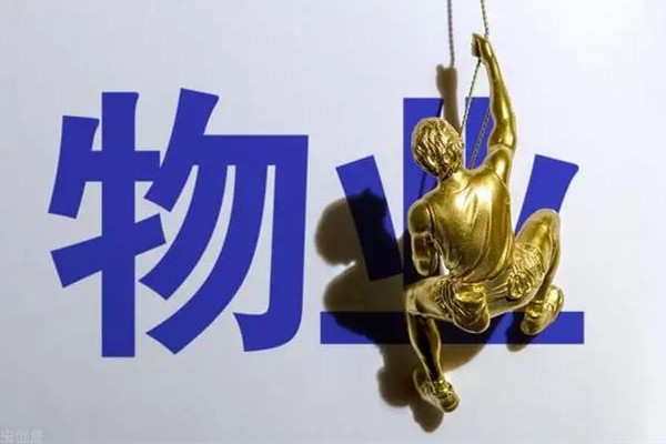 人民網(wǎng)評小區(qū)物業(yè)監(jiān)控業(yè)主 物業(yè)公司主要負(fù)責(zé)哪些工作