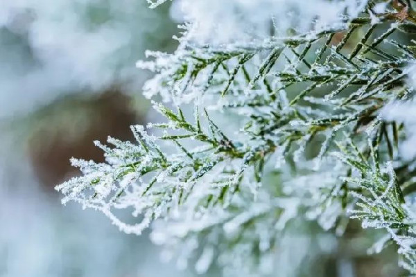 今冬北方首場(chǎng)大范圍雨雪來(lái)襲 雨雪天氣要注意什么