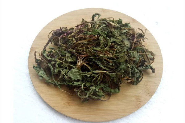 蒲公英茶的價(jià)格多少錢一斤 蒲公英茶買葉還是買根好